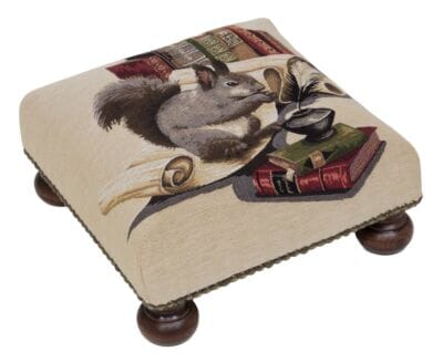 Library Squirrel Tapestry Footstool