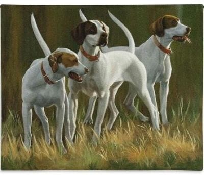 First Light Hounds Loom Woven Tapestry - 66 x 82 cm (2'2" x 2'8") - Requires Rod Size 2