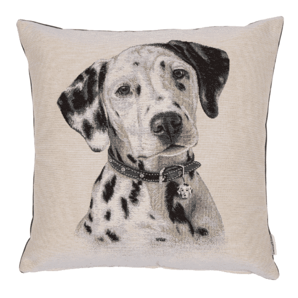 Donald Dalmatian Woven Cushion - 42x42cm (17