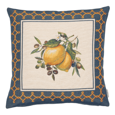 Mediterranean Harvest Woven Cushion - 42x42cm (17"x17")