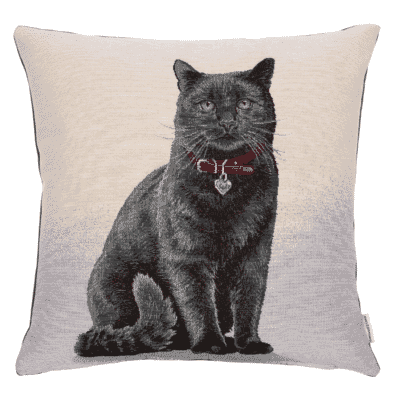 Midnight Max Woven Cushion - 42x42cm (17"x17")