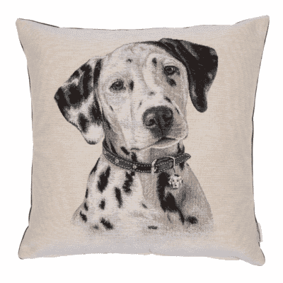 Donald Dalmatian Woven Cushion - 42x42cm (17"x17")