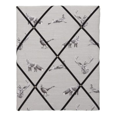 From the Field Memo Board