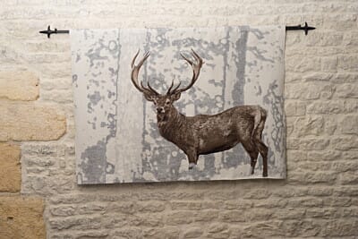 Stately Stag White Loom Woven Tapestry - 105 x 145 cm (3'5" x 4'9") - Requires Rod Size 4