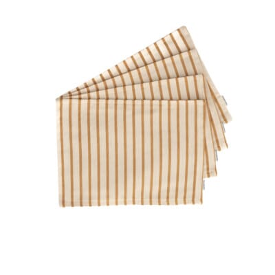 Ochre Stripe Woven Outdoor Placemats - Pack of 4