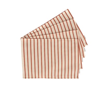 Terracotta Stripe Woven Outdoor Placemats - Pack of 4