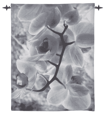 Orchid Loom Woven Tapestry - 92 x 71 cm (3'0" x 2'4") - Requires Rod Size 2 - Last Piece Remaining!