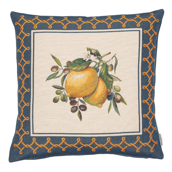Mediterranean Harvest Woven Cushion - 42x42cm (17
