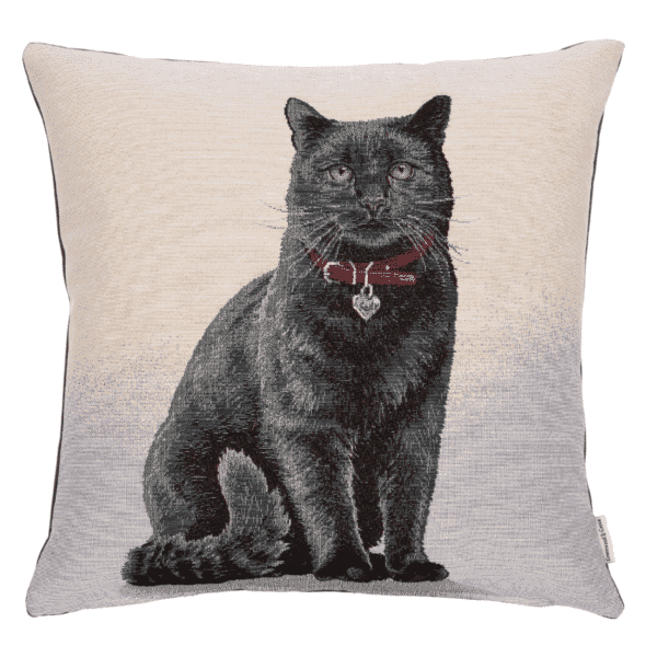 Midnight Max Woven Cushion - 42x42cm (17