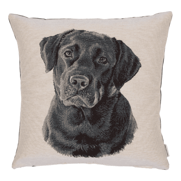 Larry Labrador Woven Cushion - 42x42cm (17