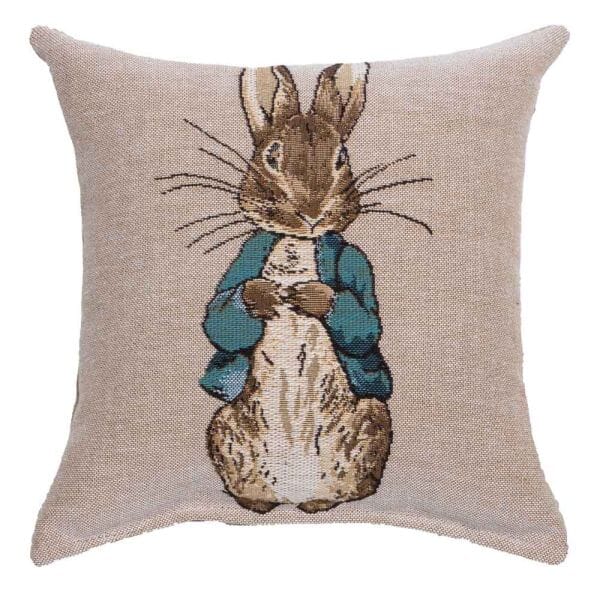 Peter Fibre Filled Tapestry Cushion - 20x20cm  (8