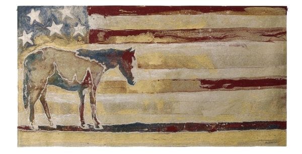 Stars & Stripes Horse Loom Woven Tapestry - 67 x 132 cm (2'3